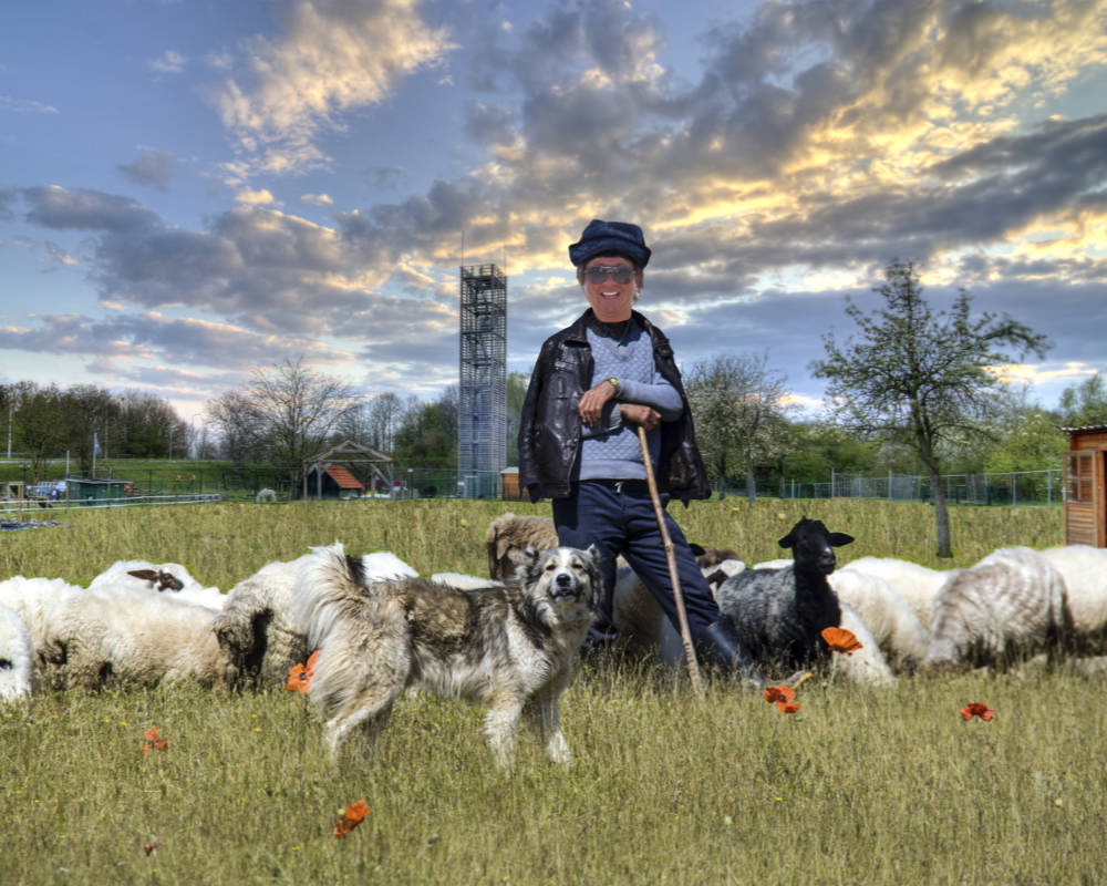 De Dwaze Herder met zijn schapen